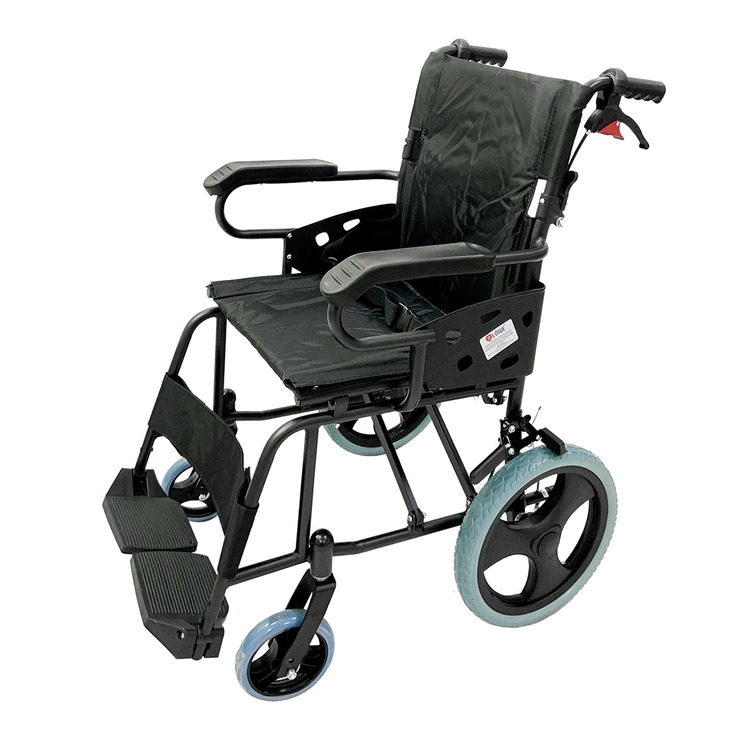 Silla De Ruedas | De Transporte