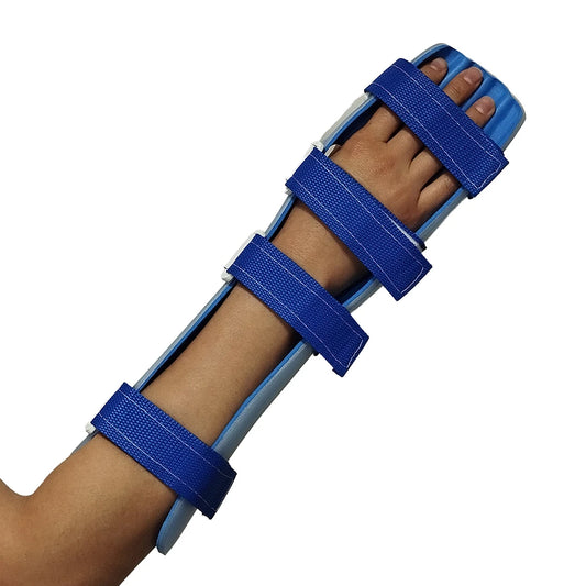 Férula Palmar | Mano